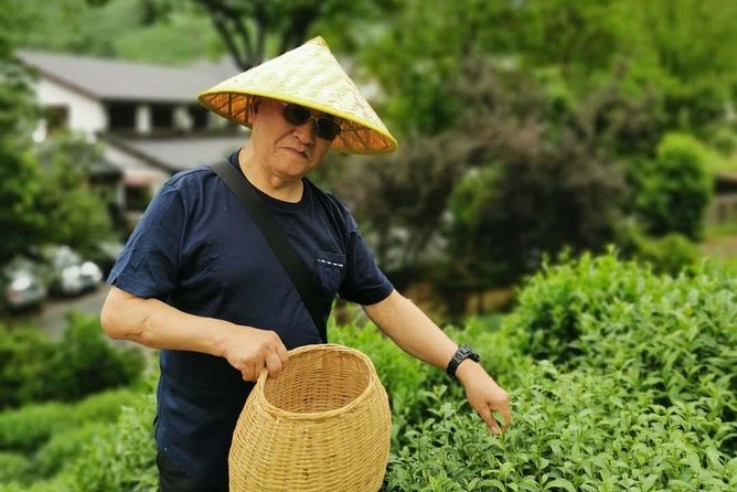 Hangzhou West Lake and Tea Plantation Half Day Tour - From lake views to Meijiawu tea fields