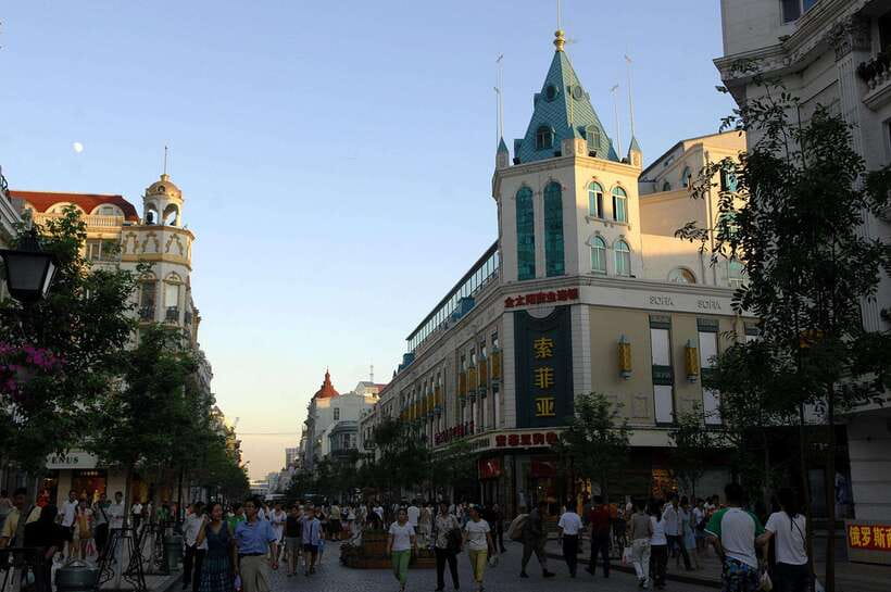 Harbin Ice and Snow Fairyland Private Day Tour - Key points to know before booking