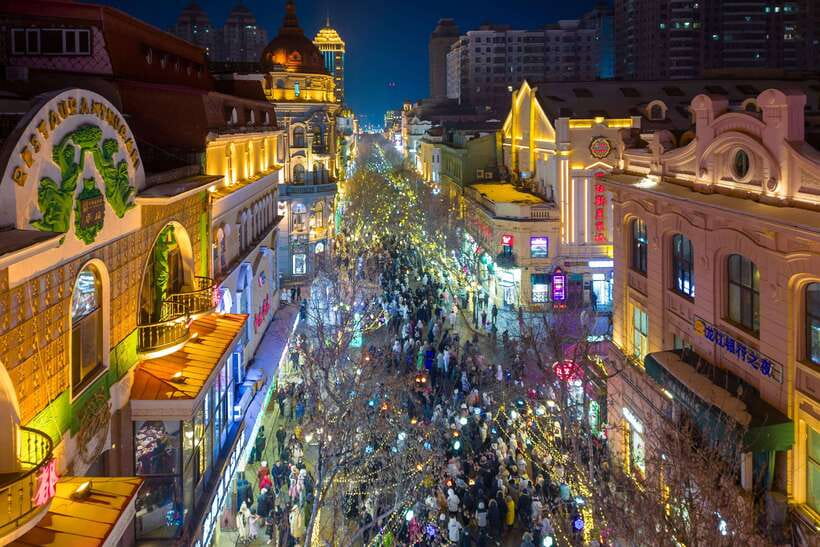 Harbin Ice and Snow Fairyland Private Day Tour - A walking food tour through old Harbin