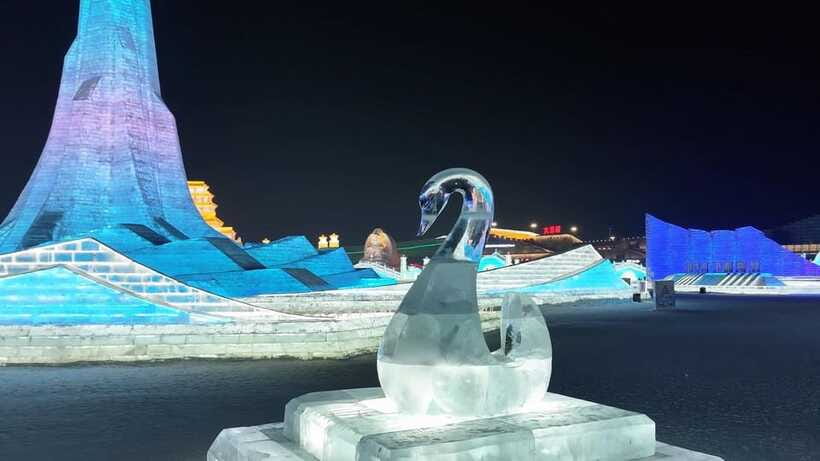 Harbin Ice and Snow Fairyland Private Day Tour - Is $299 per person a fair price?