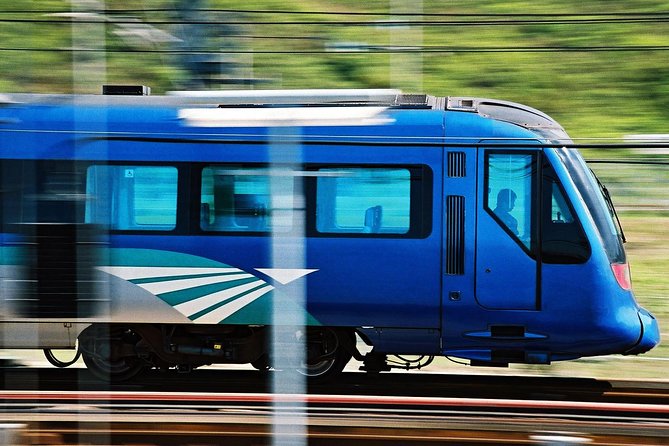 Hong Kong: Airport Express e-Ticket (Kowloon/HK/Tsing Yi) - Shuttle buses and the last stretch to your hotel