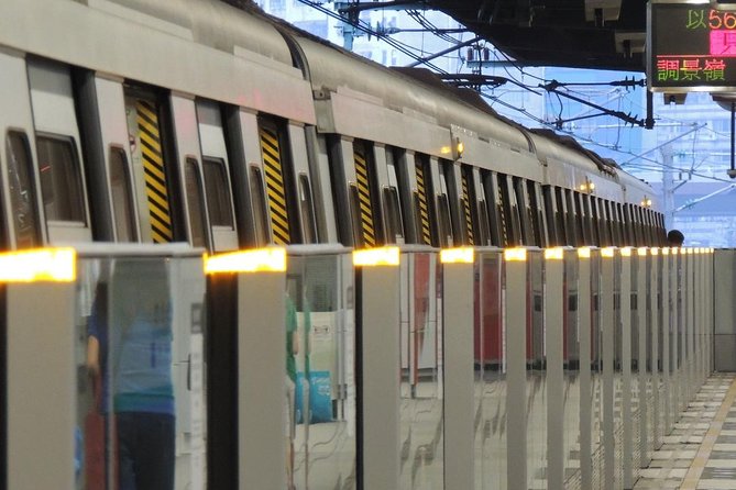 Hong Kong: Airport Express e-Ticket (Kowloon/HK/Tsing Yi) - What the airport arrival is like