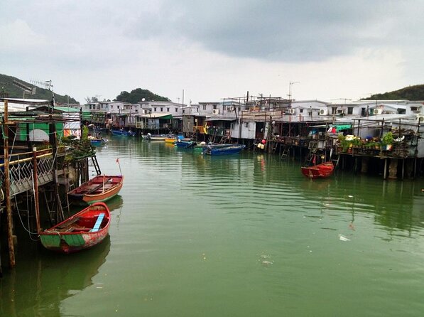Hong Kong Dolphin Watch Tour - From Tsim Sha Tsui to the waters of Tai O