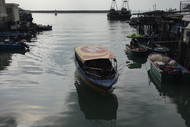 Hong Kong Lantau Tour with Big Buddha, Tai O Village & Snacks - Guides, group size, and the tour’s rhythm