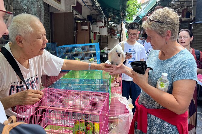 Hong Kong Private Tour with Master Storyteller (Full or Half Day) - Tsim Sha Tsui frames Victoria Harbour