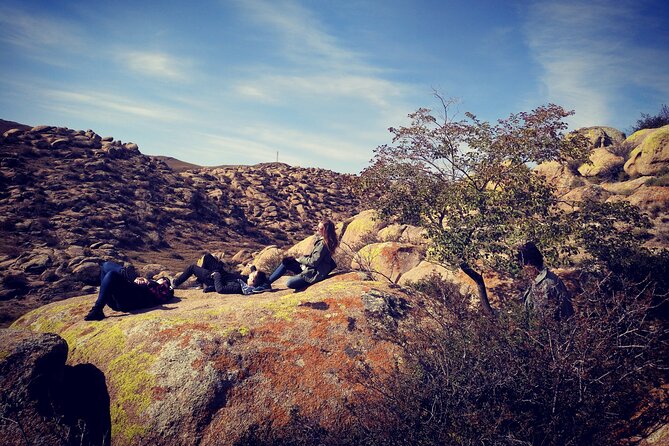 Huhhot 4D3N Inner Mongolia Grassland and desert nature tours - Four days from grassland to desert