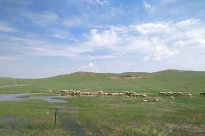 Huhhot 4D3N Inner Mongolia Grassland and desert nature tours