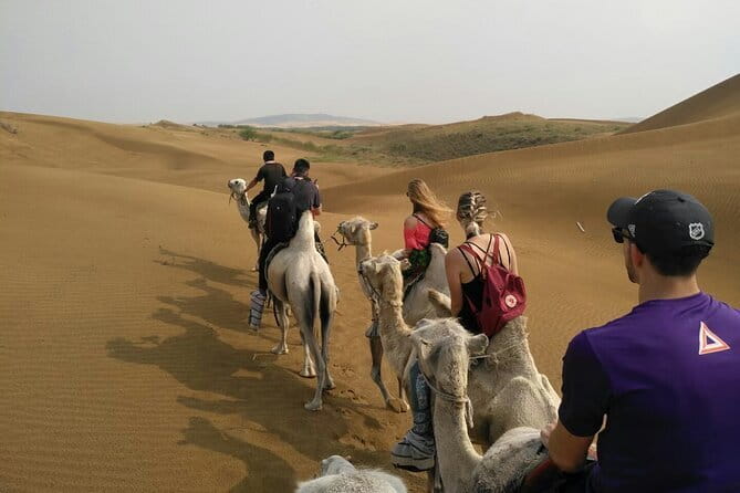 Inner Mongolia Hohhot 1Day Kubuqi Desert (Whistling Dune Bay)Tour - Hohhot to Kubuqi Desert: a long road to the sand