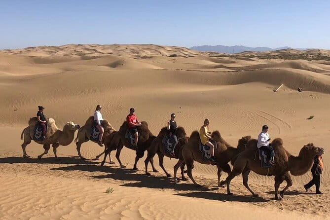 Inner Mongolia Hohhot 1Day Kubuqi Desert (Whistling Dune Bay)Tour - Who will enjoy this day most