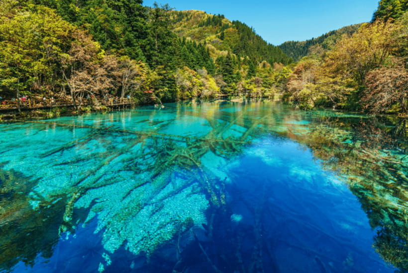 Jiuzhai Valley National Park:Visit Colorful Fairy Tale World - The final four hours: more forest and changing colors