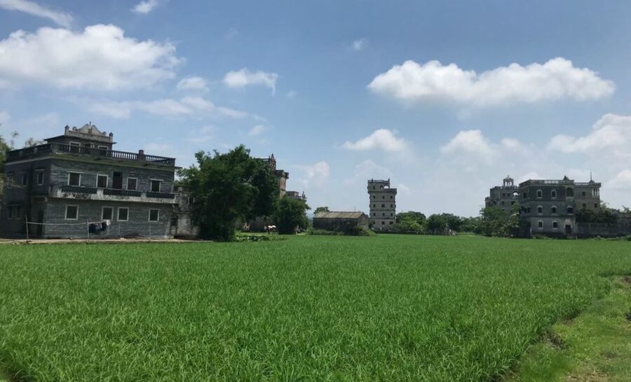 Kaiping Private Day Tour From Guangzhou - What the private guide adds