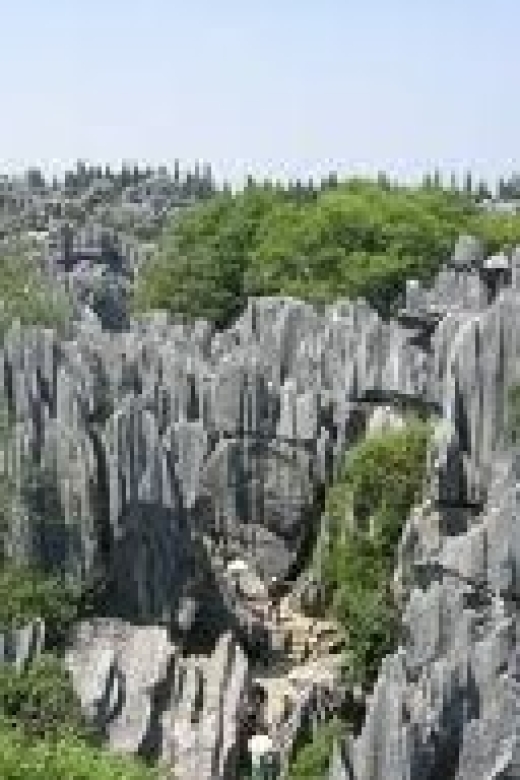 Kunming: Stone Forest Private Day Tour - Why the Stone Forest is worth the long ride from Kunming