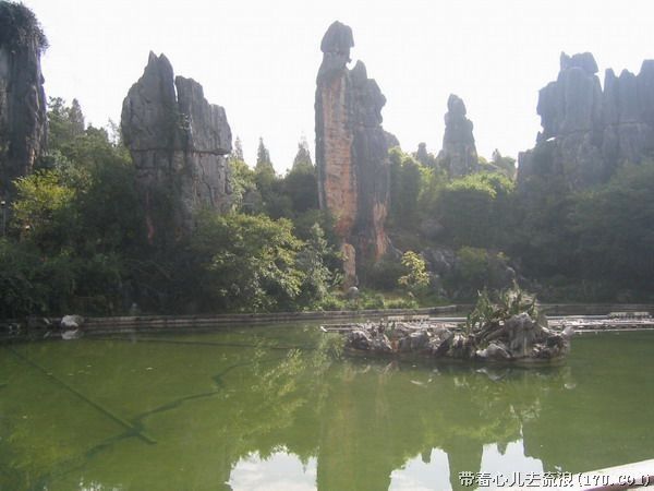 Kunming: Stone Forest Private Day Tour - What the guides add to the day