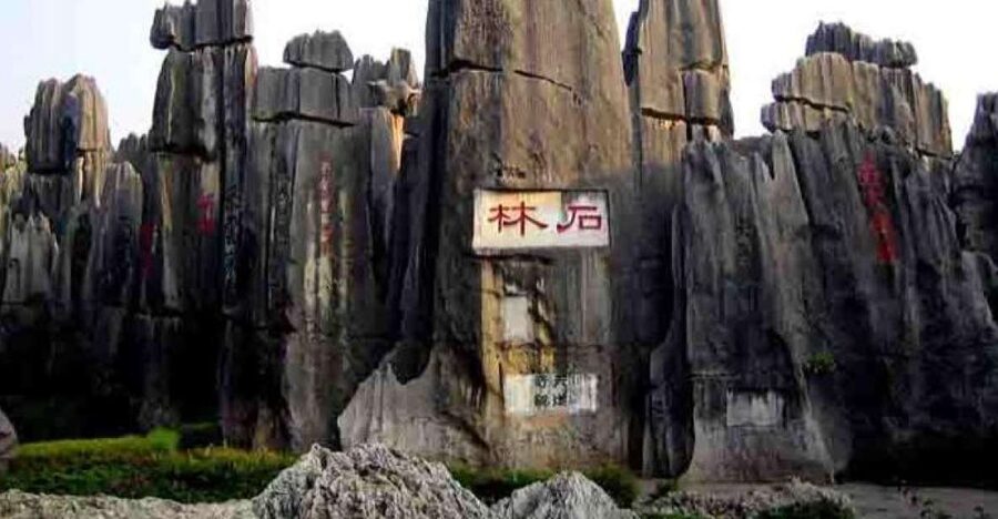 Kunming: Stone Forest Private Day Tour - Who should book this Stone Forest tour?