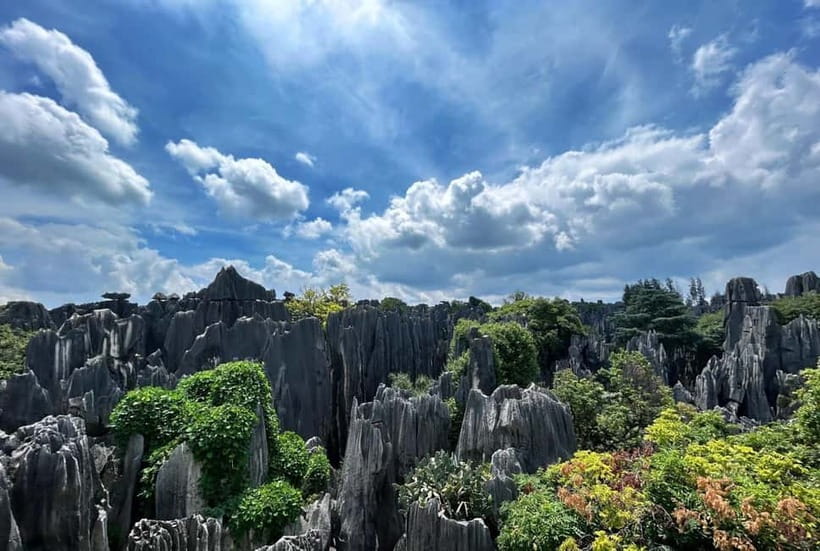 Kunming: Stone Forest, Roast Duck Lunch and City Tour - Why the Stone Forest deserves a full morning