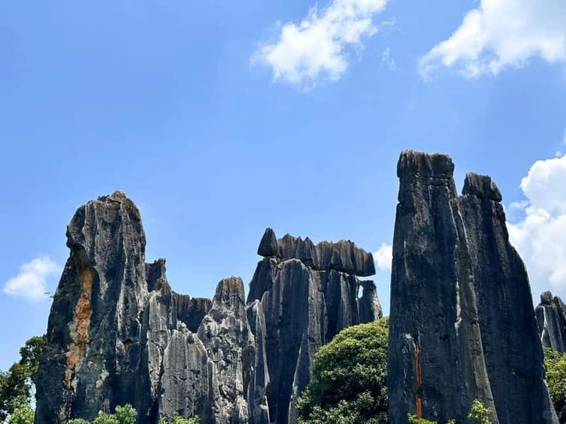Kunming: Stone Forest, Roast Duck Lunch and City Tour - Private transport from Kunming