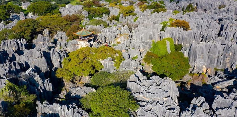 Kunming: Stone Forest, Roast Duck Lunch and City Tour - Choosing your Kunming afternoon
