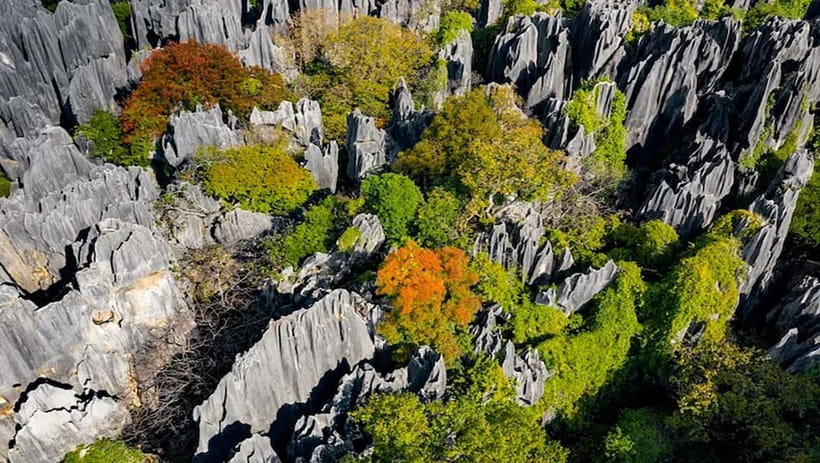 Kunming: Stone Forest, Roast Duck Lunch and City Tour - FAQ