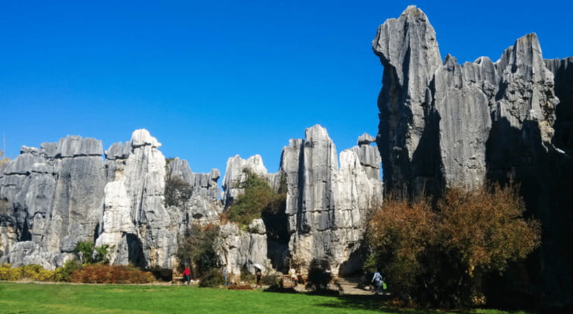 KunmingStone Forest Private Tour:Scenic Walks+Guide Insights - How the battery bus changes the day