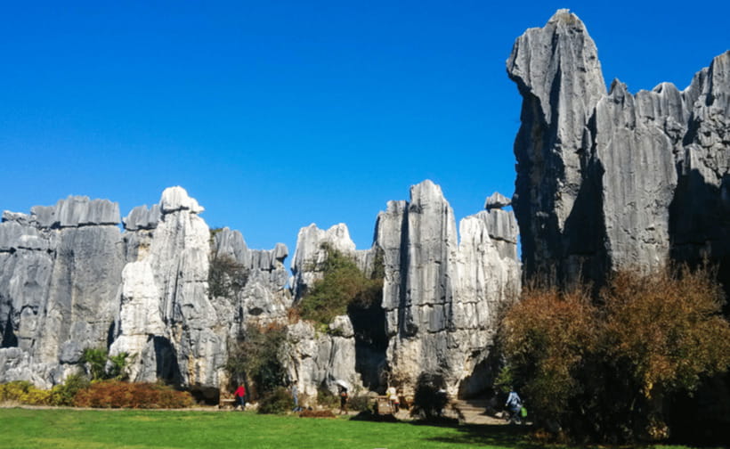 KunmingStone Forest Private Tour:Scenic Walks+Guide Insights - Who should book this Stone Forest tour?