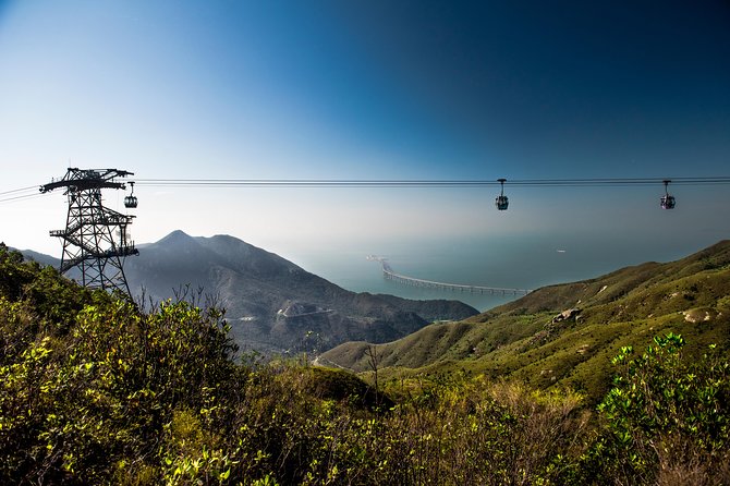 Lantau HK Guided Tour - Cable Car, Tai O, Big Buddha, Monastery - Weather, walking, and group size