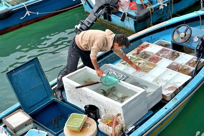 Lantau Island Day Trip - Big Buddha & Tai O - Tai O fishing village and the dolphin boat