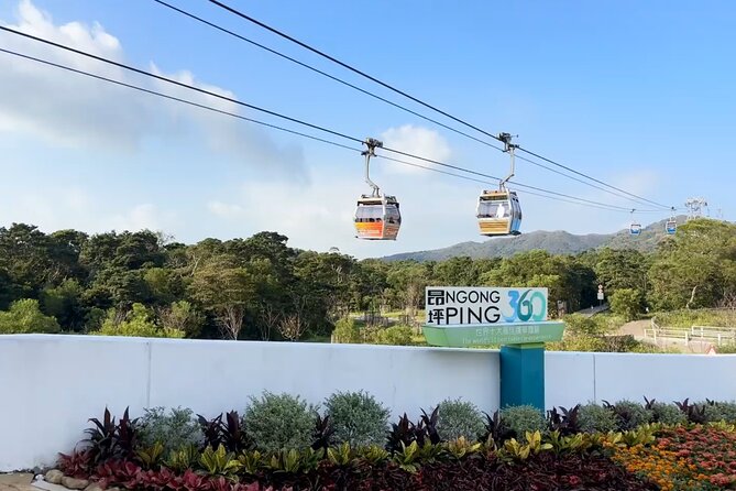 Lantau Island Day Trip: Giant Buddha & Cable Car with Pickup - Po Lin Monastery and the included meal