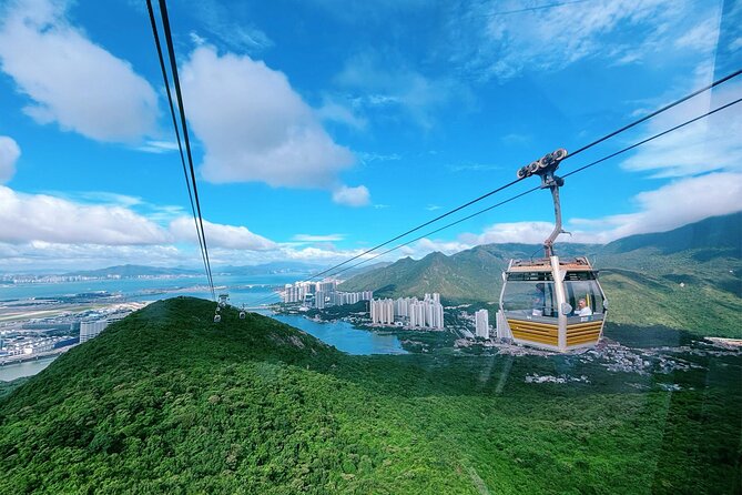 Lantau Island Day Trip: Giant Buddha & Cable Car with Pickup - Tai O gives the tour its local character