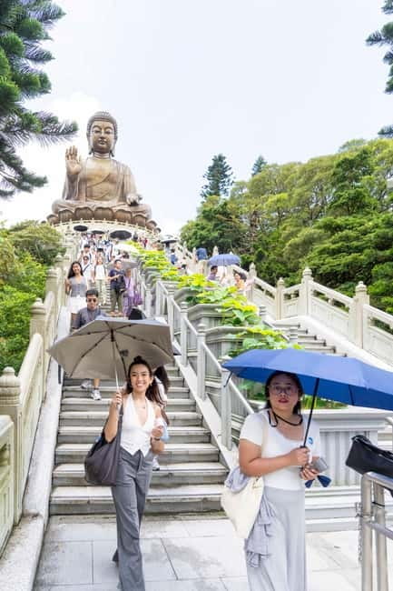 Lantau Island: Priority Cable Car, Tai O & Direct Transfer - Po Lin Monastery and the meal question