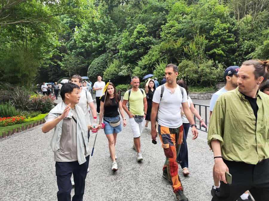 Leshan Grand Buddha Scenic Area and Panda Park Day Tour - Why this Chengdu day trip works