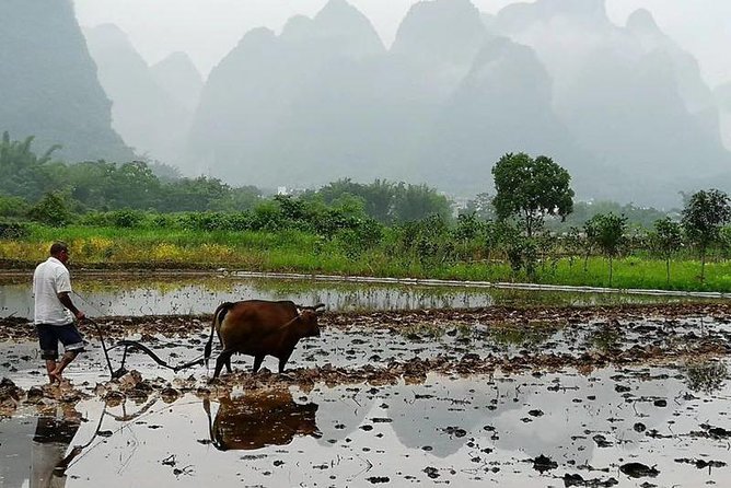 Li River Cruise with bamboo Rafting & Xianggong Hill Private Tour - Who should book this Guilin outing?