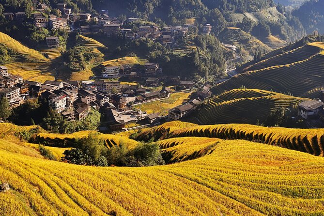 Longji Dazhai Rice Terraces Day Tour Cable Car Adventure - Riding above Dazhai Jinkeng Rice Terraces