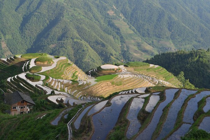 Longji Dazhai Rice Terraces Day Tour Cable Car Adventure - What the private guide service is like