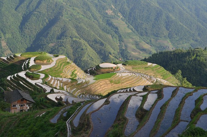 Longji Dazhai Rice Terraces Day Tour Cable Car Adventure - Is $99 good value for the day?