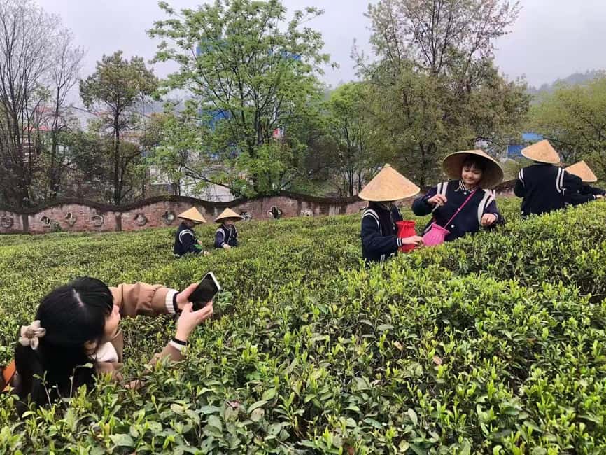 Longji Rice Terraces: 1-Day Private Tour - Huangluo Yao and the story of long hair