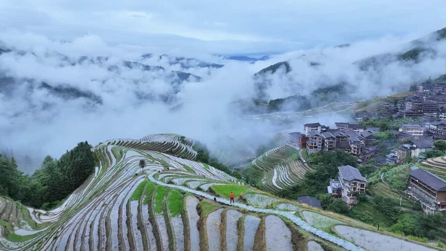 Longji Rice Terraces: 1-Day Private Tour - A bamboo-cooked lunch with a local family