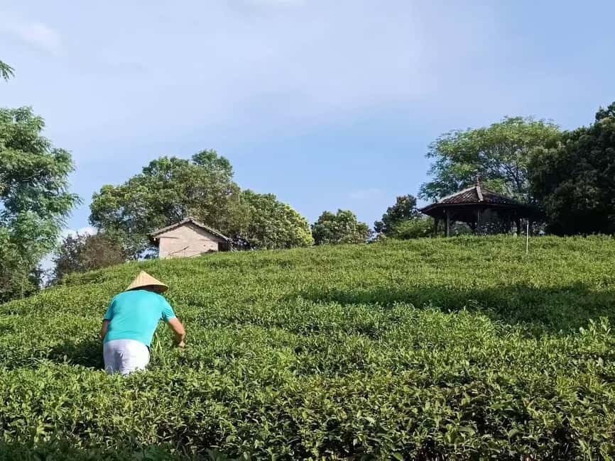 Longji Rice Terraces: 1-Day Private Tour - Is $89 per person good value?