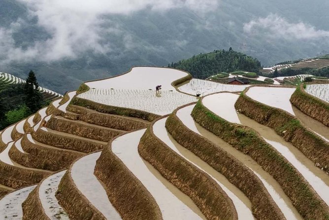 Longji Rice Terraces and Minority Village Day Tour - What $116 buys you, and where the value slips