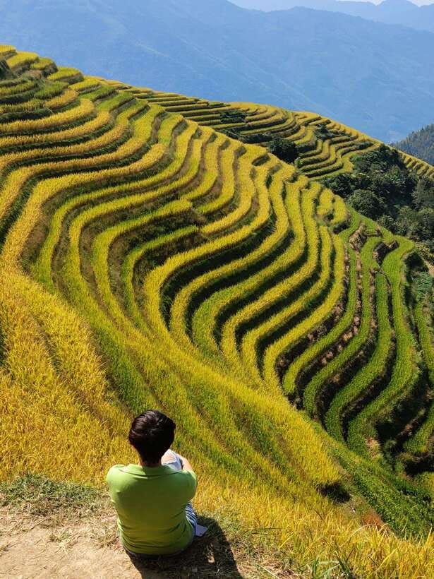 Longji Rice Terraces: Full-Day Private Tour from Guilin - Who should book this Longji day trip?
