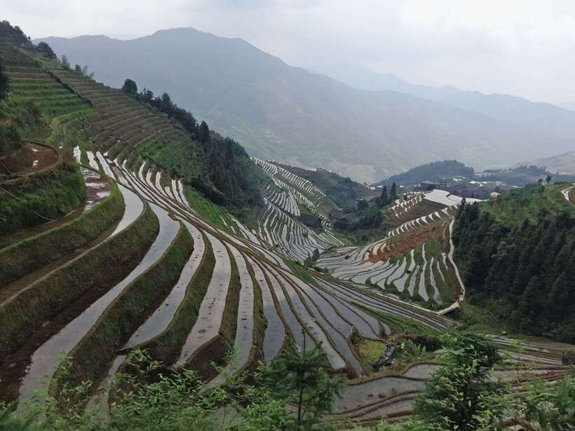 Longji Rice Terraces: Full-Day Private Tour from Guilin - Why Longji deserves a full day from Guilin