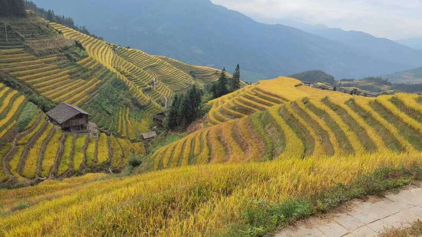 Longji Rice Terraces: Full-Day Private Tour from Guilin - Optional stops and flexible pacing