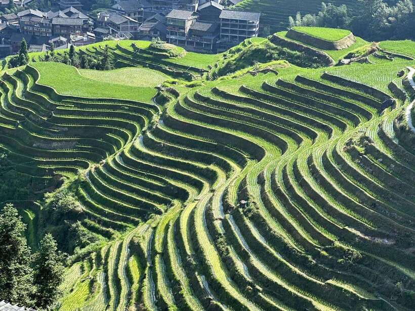 Longji Rice Terraces: Full-Day Private Tour from Guilin - The drive into Guangxi’s hill country