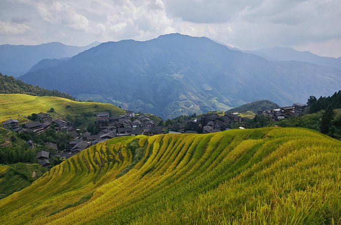 Longji Rice Terraces Hiking Tour Full Day Adventure - Three hours along the Dragon’s Backbone