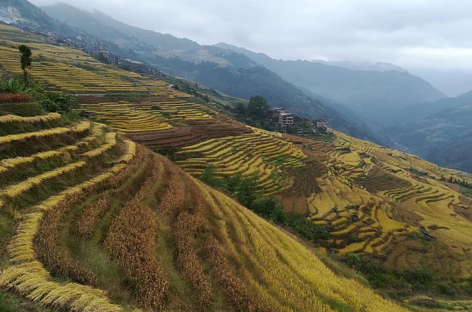 Longji Rice Terraces Hiking Tour Full Day Adventure - Meeting the Zhuang communities