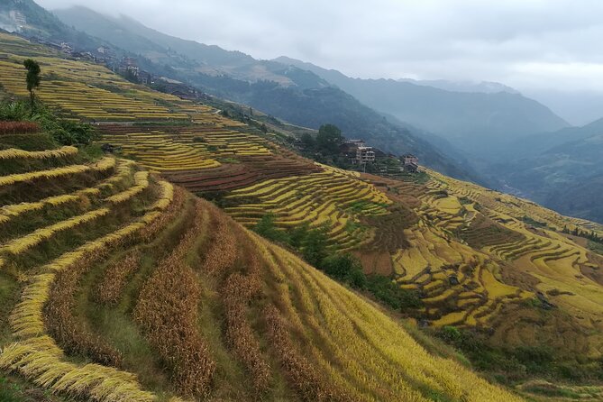 Longji Rice Terraces Hiking Tour Full Day Adventure - Who will get the most from this day