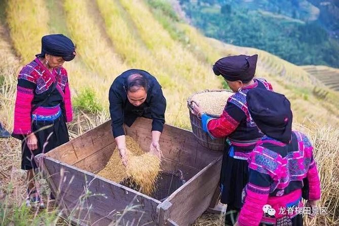 Longji rice terraces & minority villages private day tour - Arriving at the Longji Rice Terraces