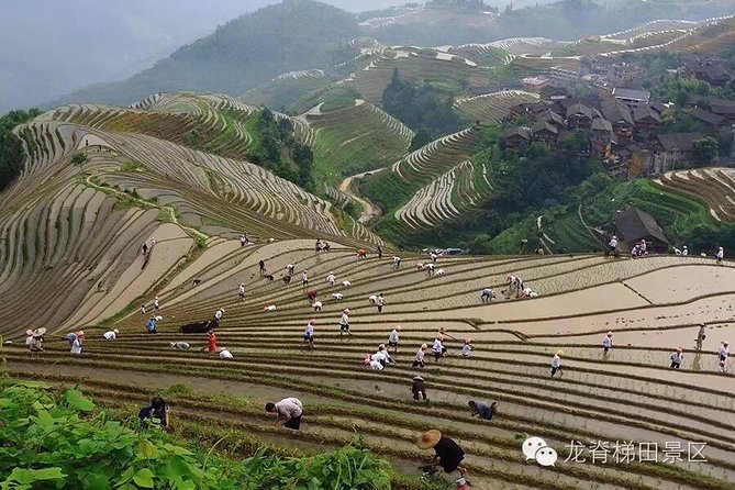 Longji rice terraces & minority villages private day tour - Meeting minority communities around Longji