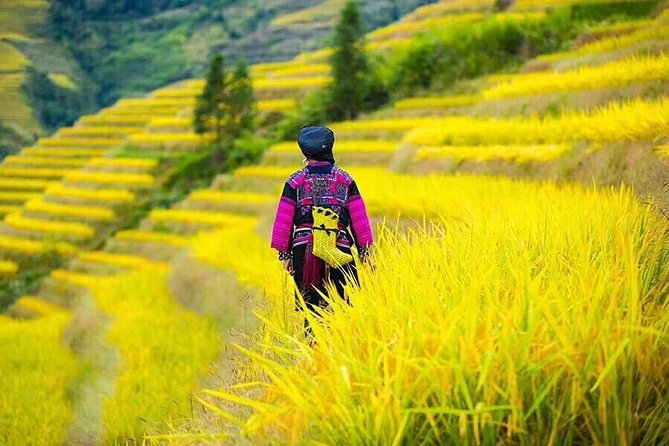 Longji rice terraces & minority villages private day tour - What the private format really changes