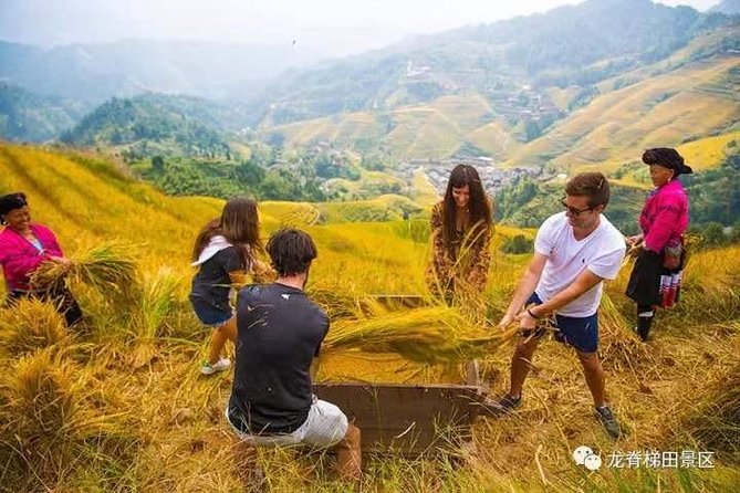 Longji rice terraces & minority villages private day tour - Why the terraces are worth the journey
