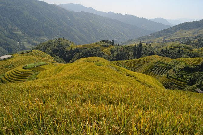 Longji Rice Terraces with Minority Village Private Day Tour - Why the Dragon’s Backbone is worth the long ride